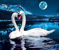 Два лебедя на горном озере под луной