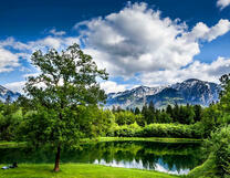 Летнее озеро в горном лесу