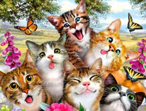 Кошечки, цветы и бабочки