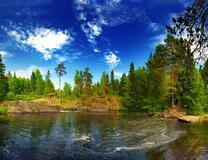 Озеро в еловом лесу