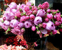 Большой букет розовых роз