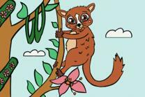 Лемурчик на цветущем дереве