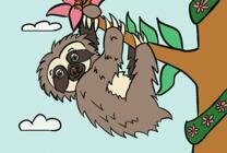 Маленький ленивец на веточке