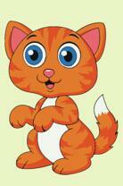 Рыжий котёнок с белым животиком