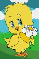 Цыплёнок с ромашкой