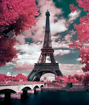 Париж в розовых красках