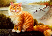 Рыжий кот на берегу реки