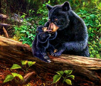 Медведица играет с медвежонком