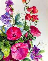 Розовые и сиреневые цветы