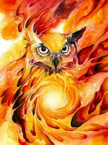 Огненная сова