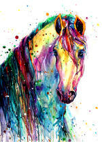 Разноцветная лошадь с длинной гривой