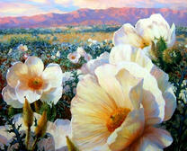 Полевые цветы у подножья гор