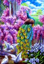 Павлин среди ярких цветов