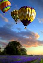 Полет на шаре над лавандовым полем