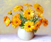 Букет из цветов календулы