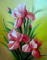 Розовые ирисы на желтом фоне