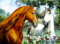 Лошадиная встреча