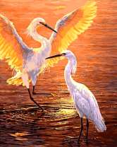 Аисты в лучах солнца