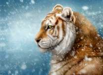 Тигр в метель