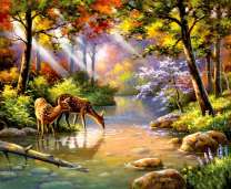 Красивые олени у ручья в летнем лесу