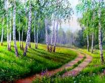 Дорога ведущая свозь берёзовую рощу