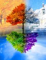 Времена года на дереве