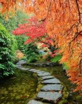 Дорожка из плиток в осеннем лесу