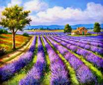 Домик на лавандовом поле