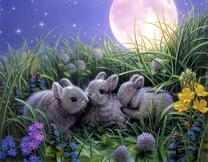 Маленькие зайчики на фоне луны