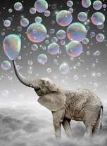 Слон и большие мыльные пузыри