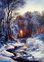 Солнце в снежном лесу