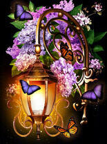 Цветущая сирень у ночного фонарика и бабочки