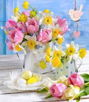 Нежные тюльпаны и нарциссы в белом кувшине