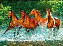 Четыре скакуна на реке