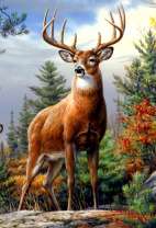 Благородный олень в осеннем лесу