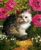 Кошечка в кустах цветущих роз