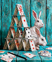 Белые кролики и карточный домик