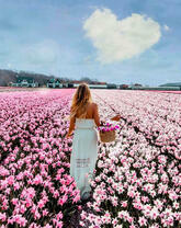 Девушка с корзинкой на поле цветов