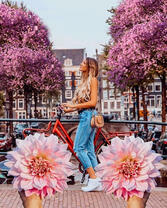 Девушка на велосипеде и хризантемы