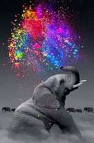 Слонёнок и фонтан из радуги