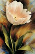 Нежный цветочек тюльпана