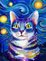 Яркий кот под большими звёздами