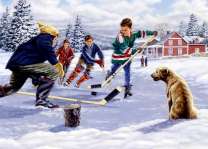 Игра в хоккей на озере у домика