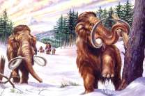 Мамонты в снежном лесу