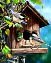 Милые воробушки у домика