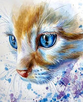 Котенок с большими голубыми глазами