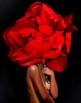 Обнаженная девушка и большая роза