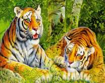 Пара тигров под деревьями в летнем лесу