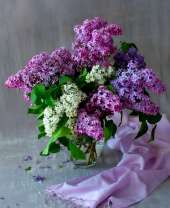 Прозрачная вазочка с букетом сирени