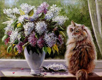 Пушистая кошечка и букет сирени